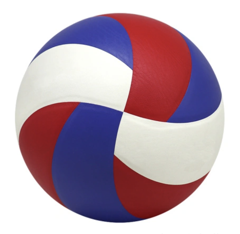 Professional volleyball ball for sale