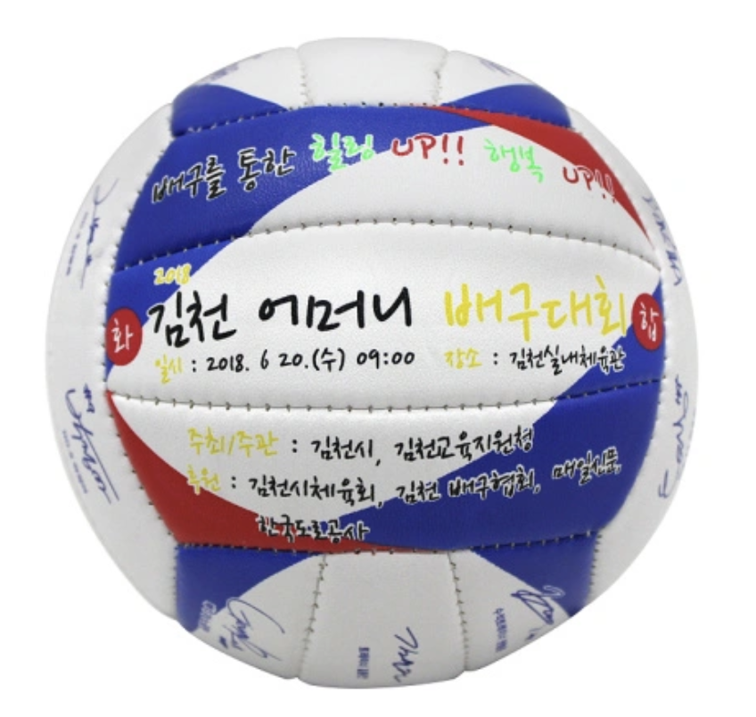 mini leather volleyball balls size 3
